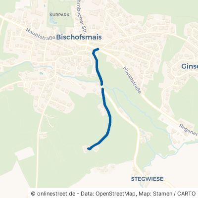 Ritzmaiser Straße Bischofsmais 