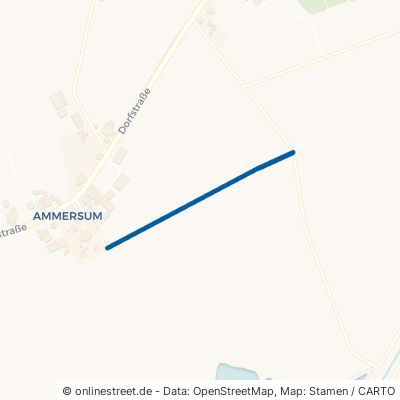 Langer Weg 26849 Filsum Ammersum 