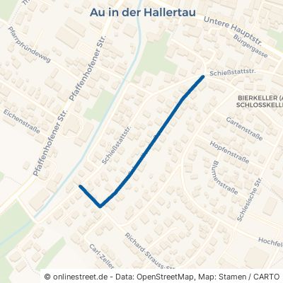Schmellerstraße Au in der Hallertau Au 