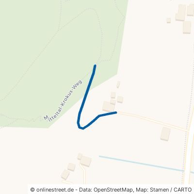 Mitteltal-Krokus-Weg Oberwolfach 
