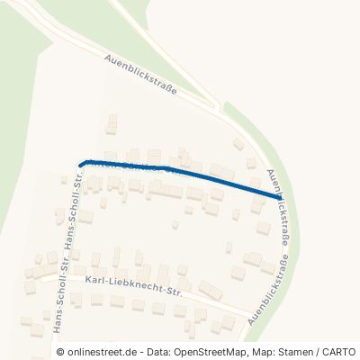 Anton-Günther-Straße 09648 Mittweida Rößgen 