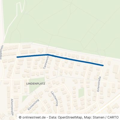 Espenstraße Langgöns 