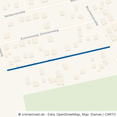 Tulpenstraße 16348 Wandlitz Basdorf 