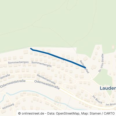 Heideweg 63925 Laudenbach 