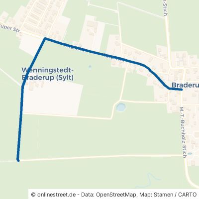 Terp Wai Wenningstedt-Braderup (Sylt) Braderup 