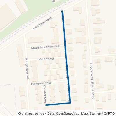 Krokusweg Offenburg 
