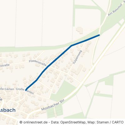 Lilienweg Obrigheim Asbach 