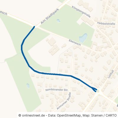 Eiderstedter Straße Wesselburen 