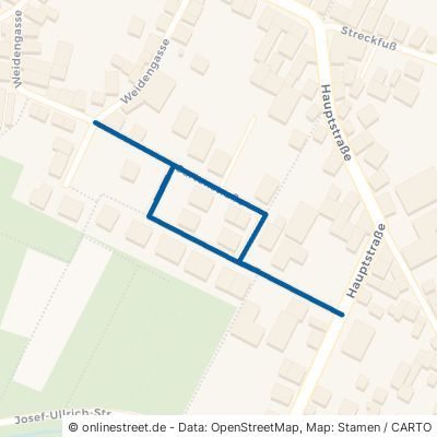 Gartenstraße 63927 Bürgstadt 