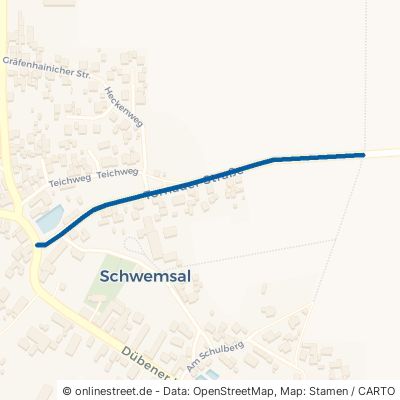 Tornauer Straße Muldestausee Schwemsal 