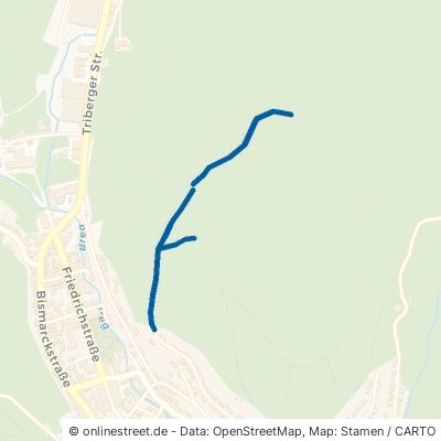 Bodenwaldweg Furtwangen im Schwarzwald 