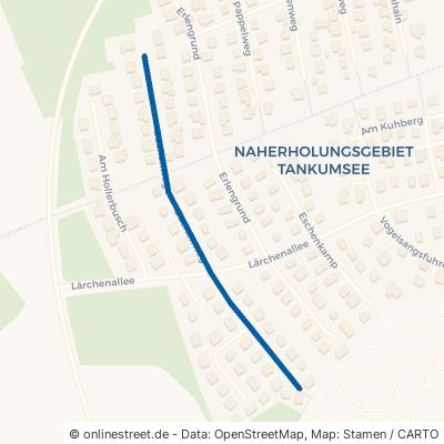 Buchenweg Isenbüttel Tankumsee 