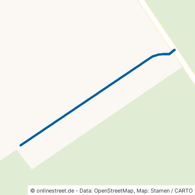 Blaubeerplantage Schlote 29649 Wietzendorf 