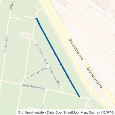 Geranien Weg Ludwigshafen am Rhein Friesenheim 