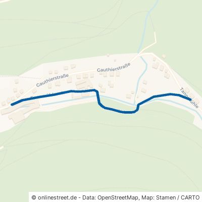 Tannmühlenstraße Bad Wildbad Calmbach 