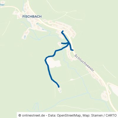 Winterbergweg Schluchsee Fischbach 