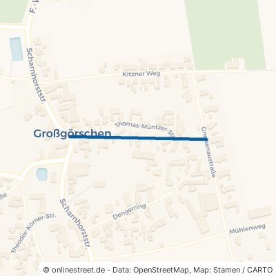 Thomas-Müntzer-Straße Lützen Großgörschen 