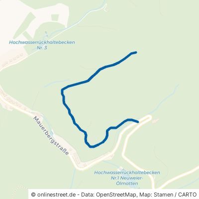Eichhaldweg Baden-Baden Neuweier 
