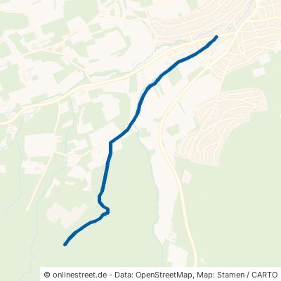 Ernst-Trumpp-Weg 72793 Pfullingen 
