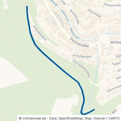 Reinhold-Kirn-Weg Altensteig 
