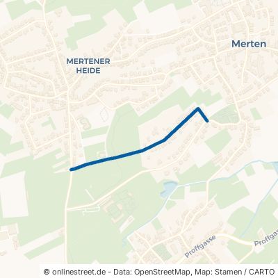 Friedensweg Bornheim Merten 