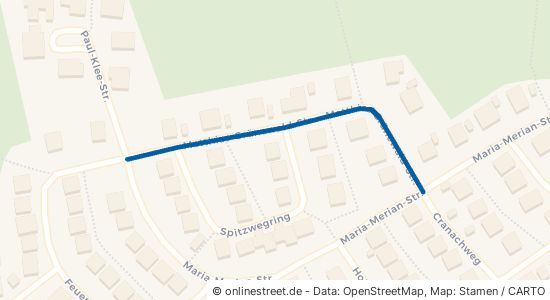 Matthias-Grünewald-Straße Wolfsburg Kreuzheide 