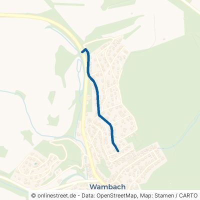 Über den Wiesen Schlangenbad Wambach 