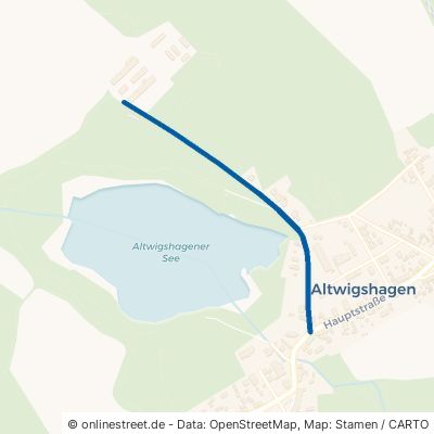 Seestraße 17379 Altwigshagen 