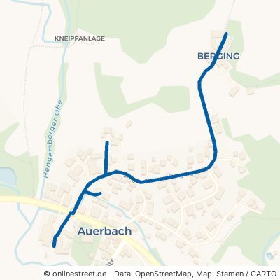 Berginger Straße Auerbach 