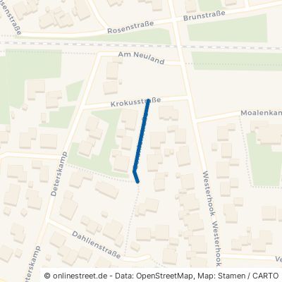 Geranienstraße 49824 Emlichheim 
