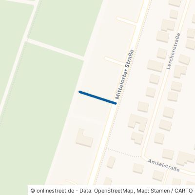 Walter-Schwegmann-Straße 26939 Ovelgönne Mittelort 