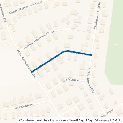 Liebmannstraße 04442 Zwenkau 