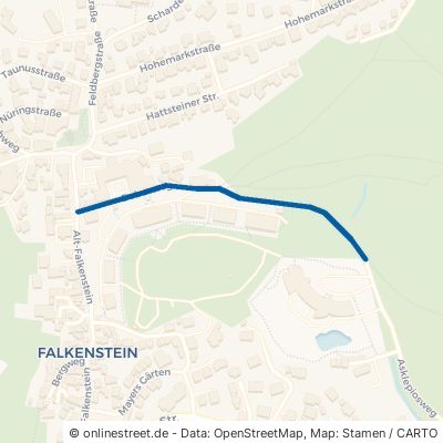 Debusweg 61462 Königstein im Taunus Falkenstein 