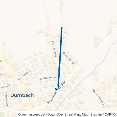 Moosweg Gmund am Tegernsee Dürnbach 