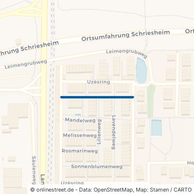 Olivenweg Schriesheim 