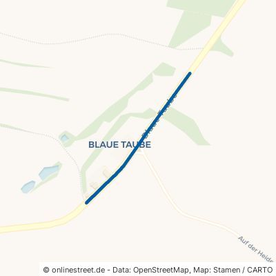 Blaue Taube Pockau-Lengefeld Görsdorf 