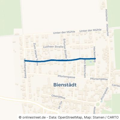 Mainzer Straße 99100 Bienstädt 