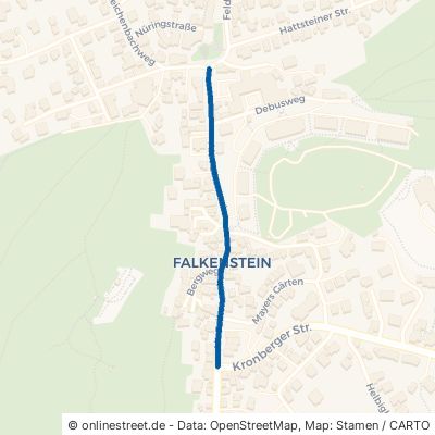 Alt-Falkenstein Königstein im Taunus Falkenstein 
