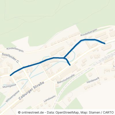 Alte Straße 98743 Gräfenthal 