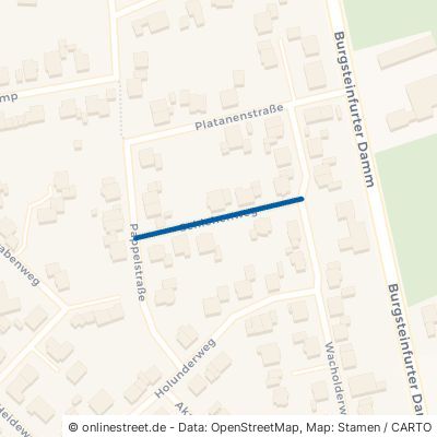 Schlehenweg 48485 Neuenkirchen 