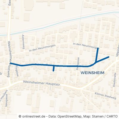 Grünstraße Worms Weinsheim 
