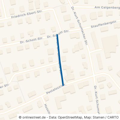 Prof.-Dr.-Schmaltz-Straße Burglengenfeld 