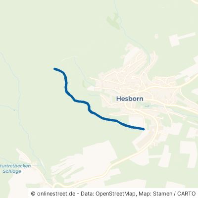 Buchhagenweg Hallenberg Hesborn 