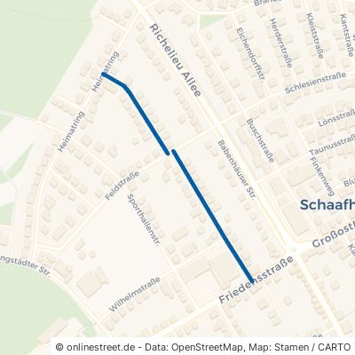 Prof.-Heinrich-Geißler-Straße Schaafheim 