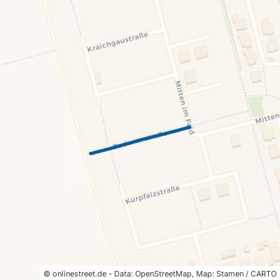 Badenerstraße 68542 Heddesheim 