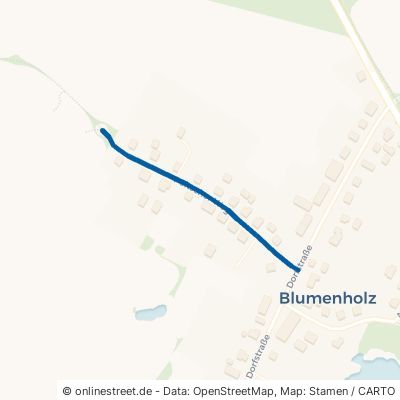 Poitscher Weg 17237 Blumenholz 