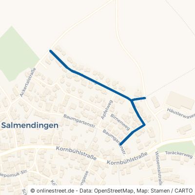Kirschenweg Burladingen Salmendingen 