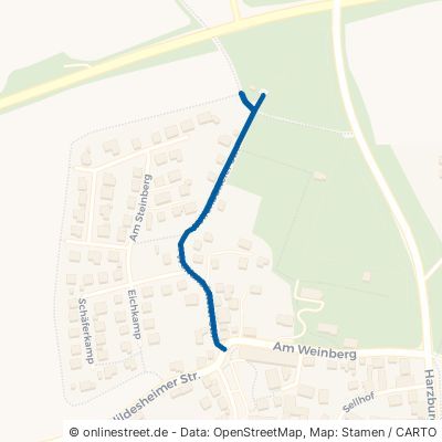 Wolfenbütteler Straße 38315 Schladen 