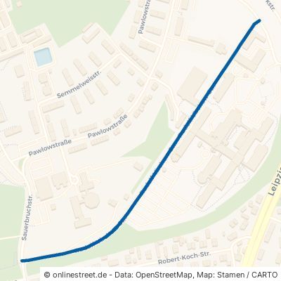 Rudolf-Virchow-Straße 04552 Borna 