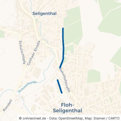 Seligenthaler Straße Floh-Seligenthal Floh 